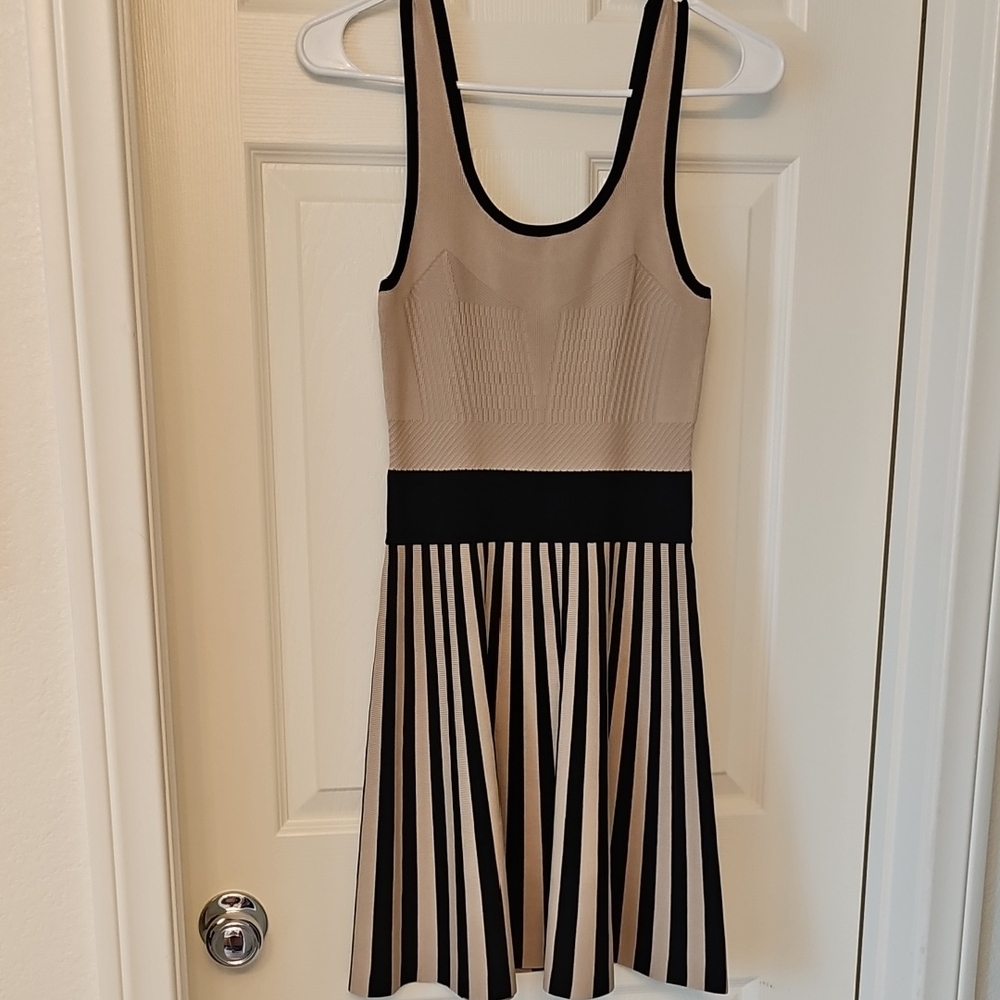 Guess Black and Tan Striped Mini Dress